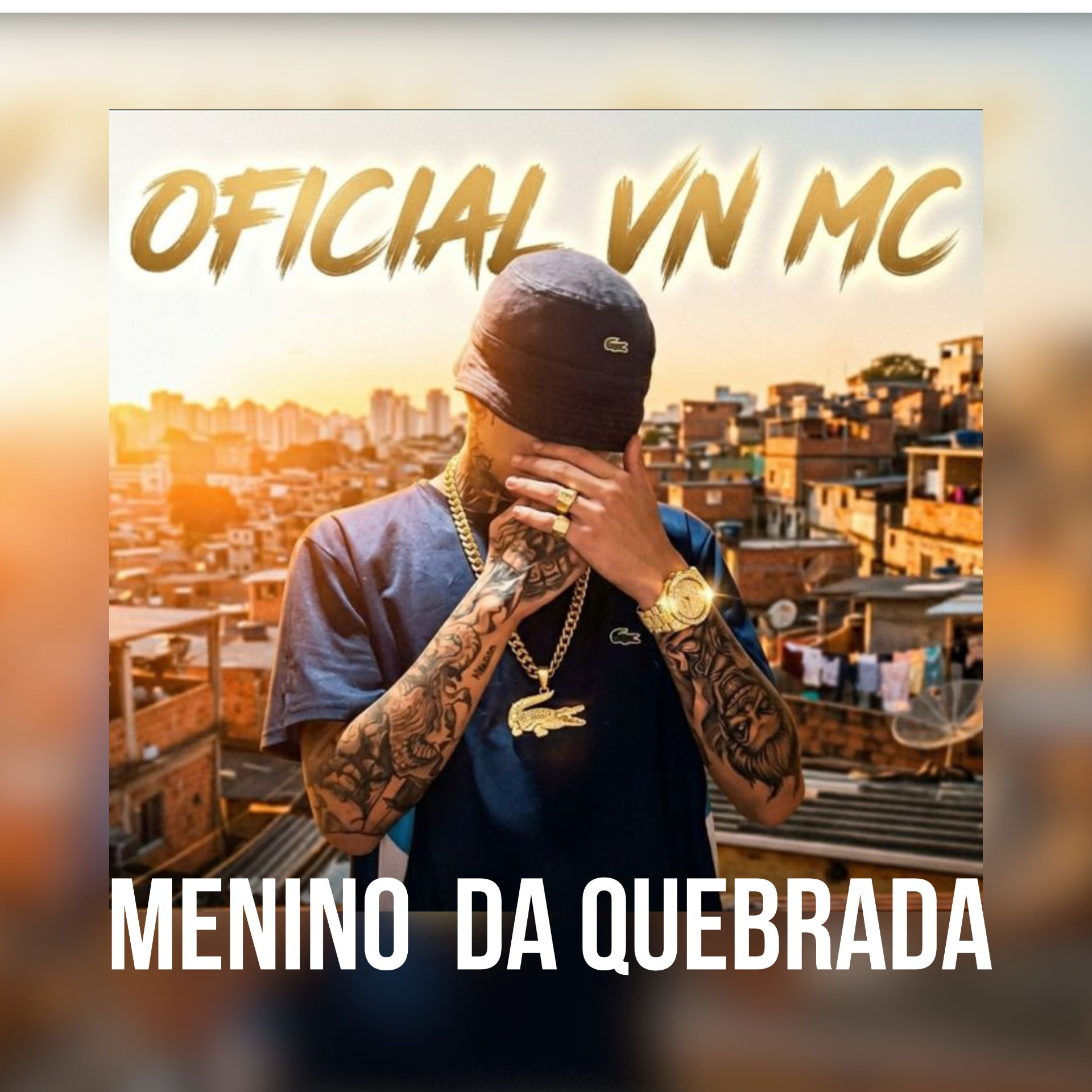 Foto do artista Vn MC